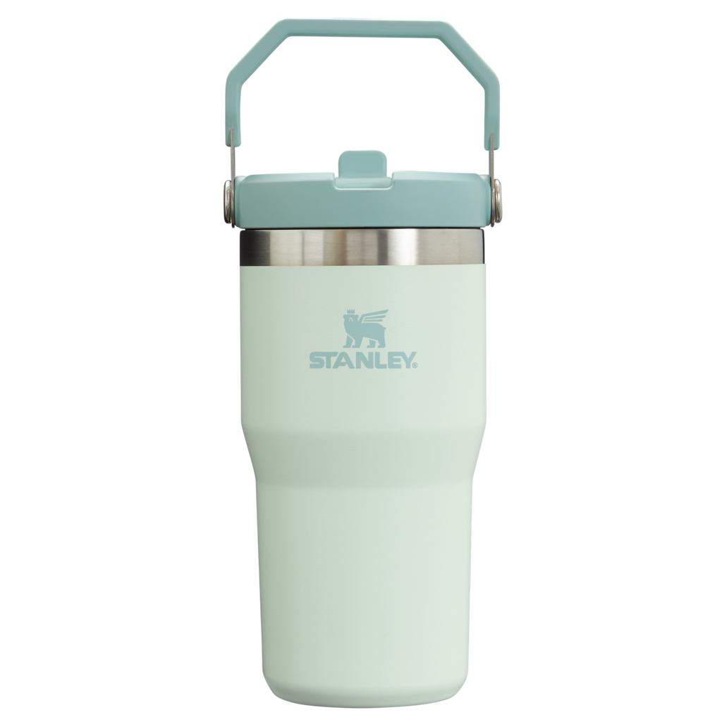 Stanley IceFlow™ Flip Straw Tumbler | 20 OZ