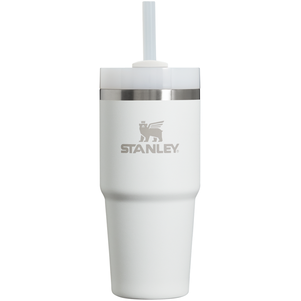 Stanley The Quencher H2.0 Flowstate Tumbler: 14oz -Frost