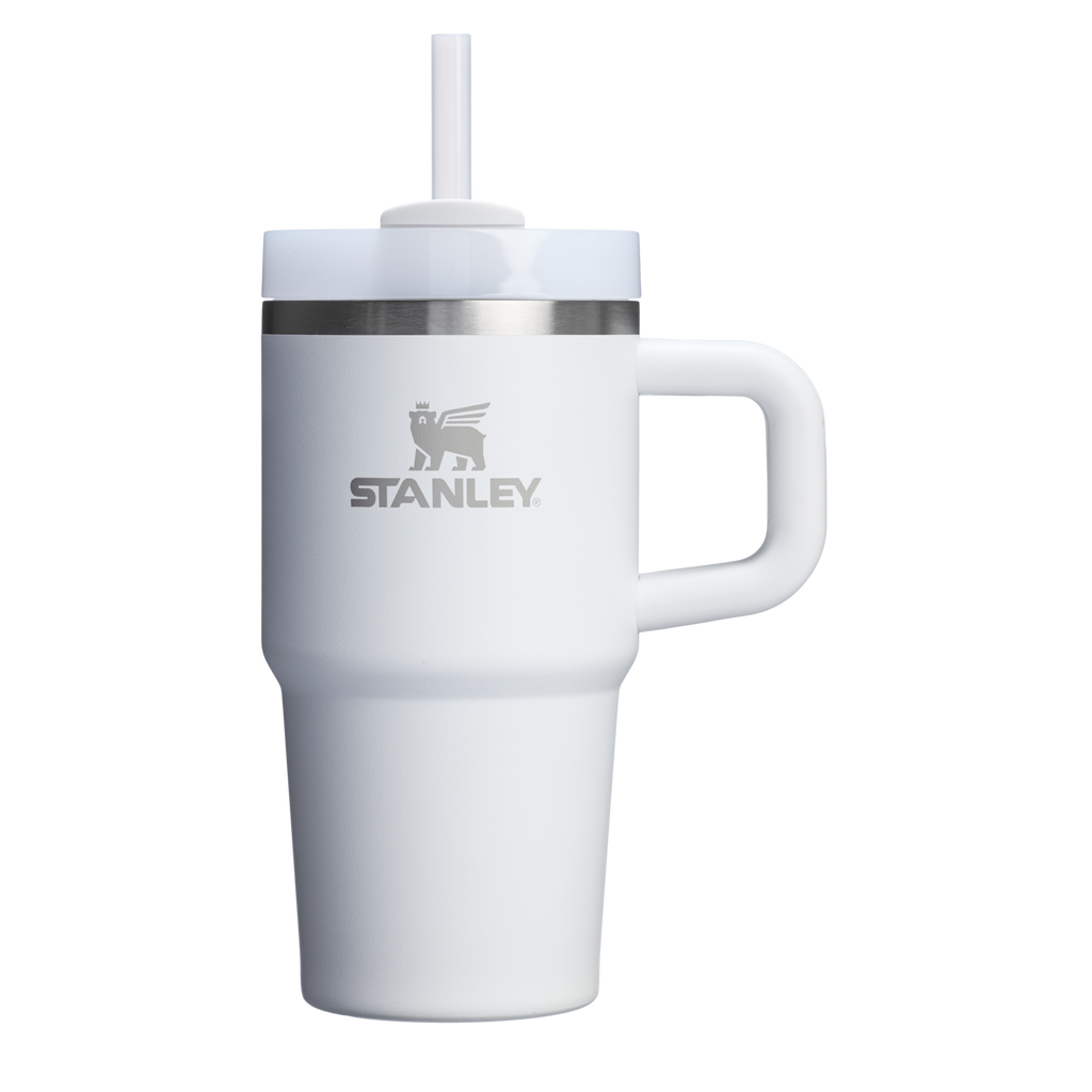 Stanley The Quencher H2.0 Flowstate Tumbler: 20 Oz with Handle - Frost